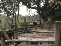 2009 China 1356
